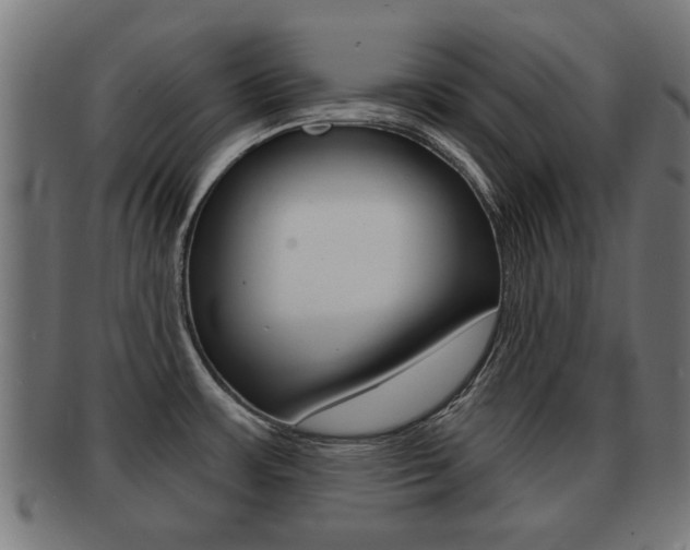 X0000091971483200709061122