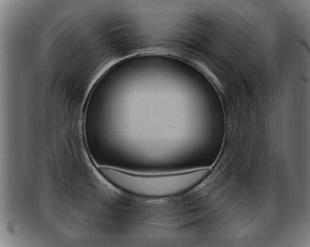 X0000091971484200709061122