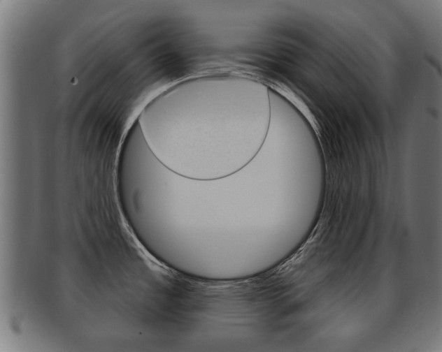 X0000091971485200709061122