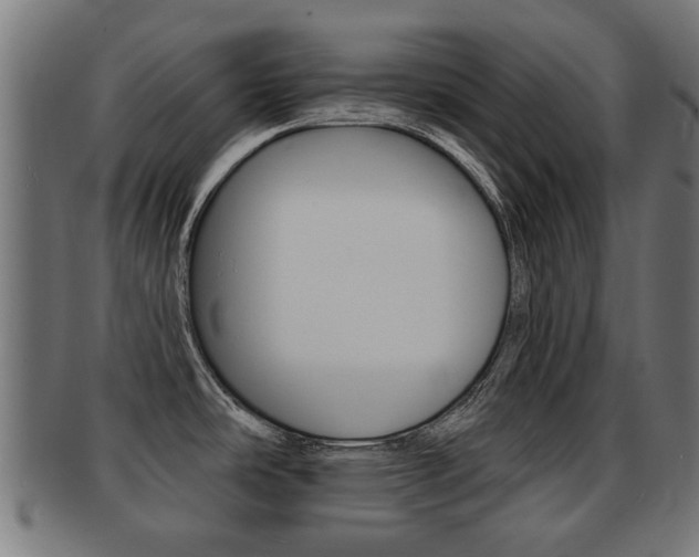 X0000091971486200709061122