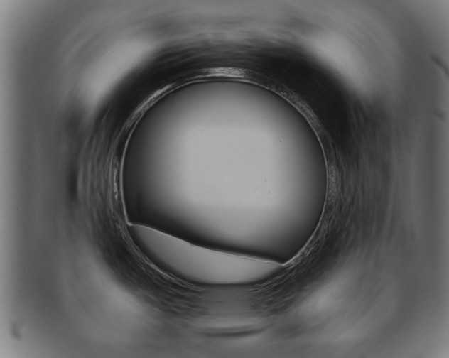 X0000091971487200709061122
