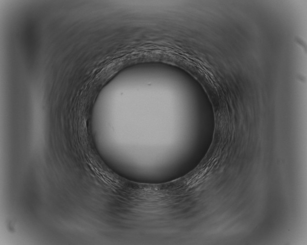 X0000091971489200709061121