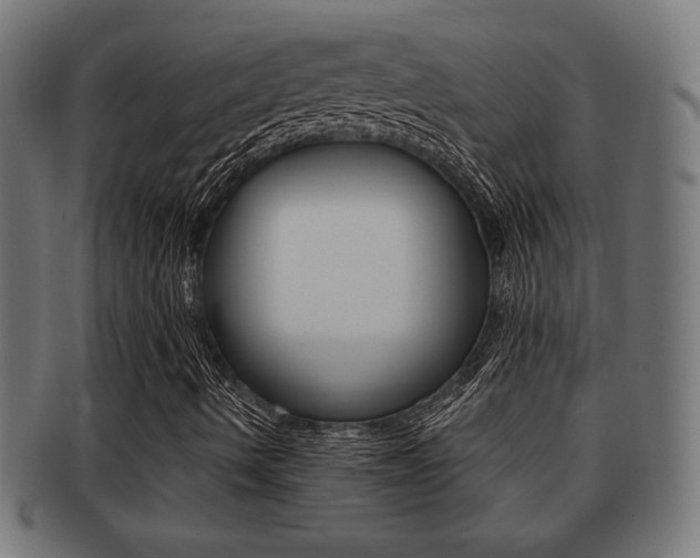 X0000091971490200709061121