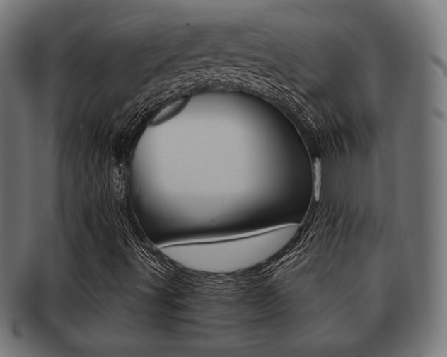 X0000091971491200709061121