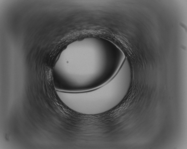 X0000091971492200709061121