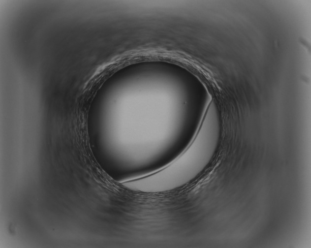 X0000091971494200709061121