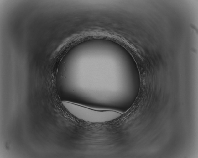 X0000091971495200709061121