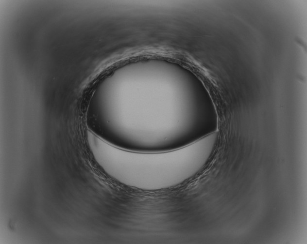 X0000091971496200709061121