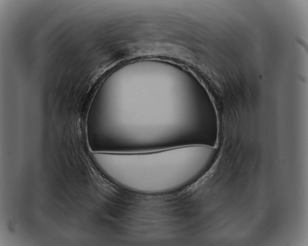 X0000091971497200709061121