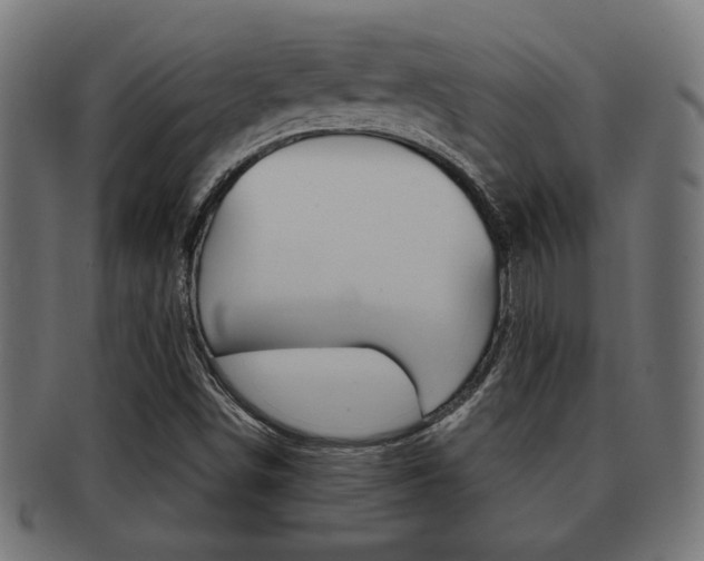 X0000091971498200709061121