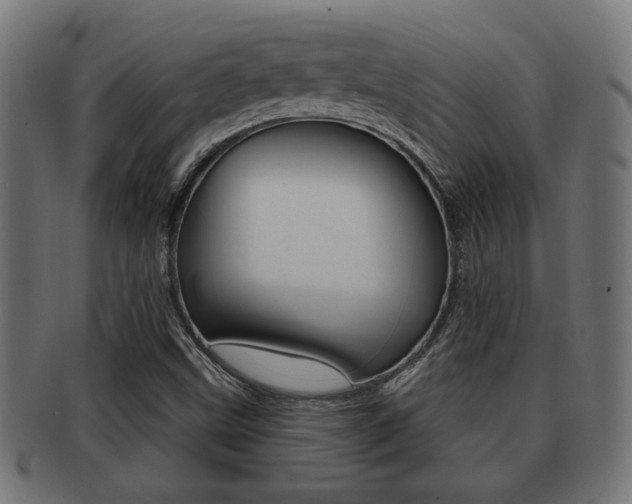 X0000091971499200709061121