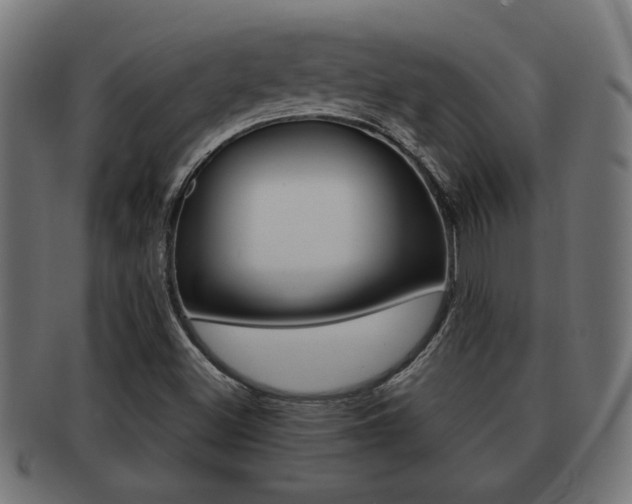 X0000091971500200709061121