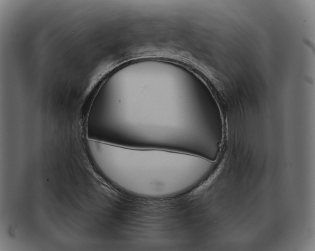 X0000091971501200709061121