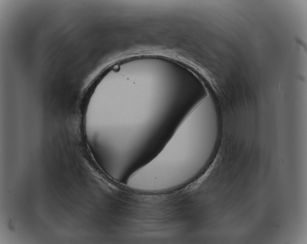 X0000091971502200709061121