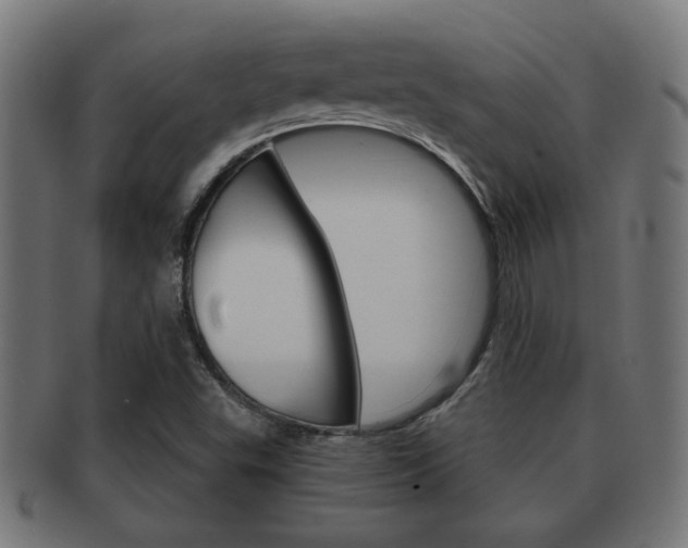 X0000091971503200709061121
