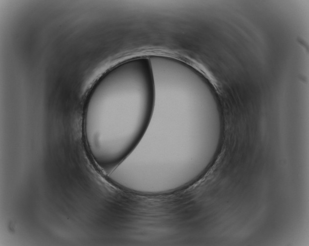 X0000091971504200709061121