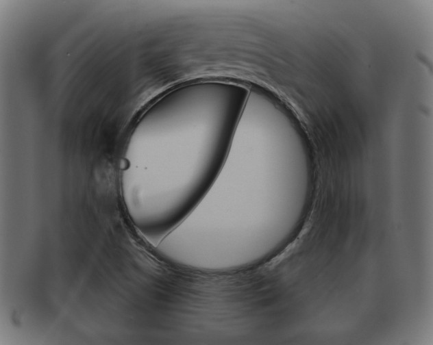X0000091971505200709061121