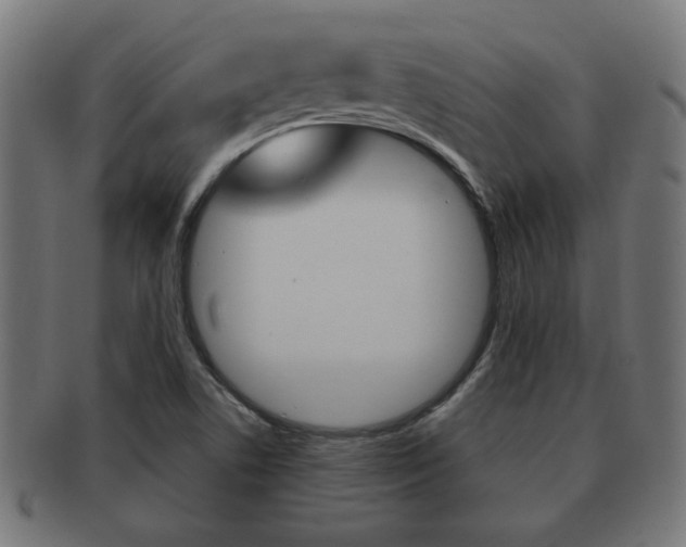 X0000091971506200709061121