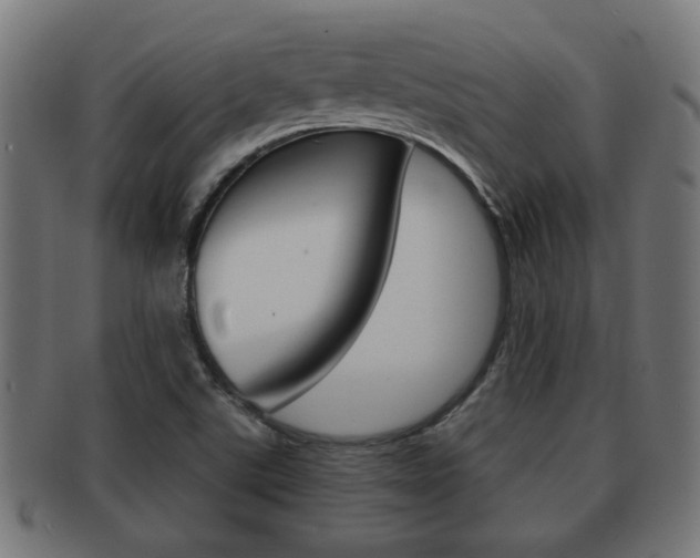 X0000091971507200709061122