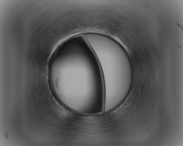X0000091971508200709061122
