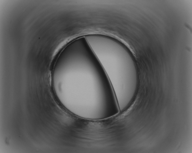 X0000091971509200709061122