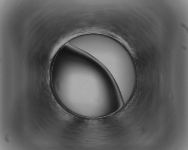 X0000091971512200709061122
