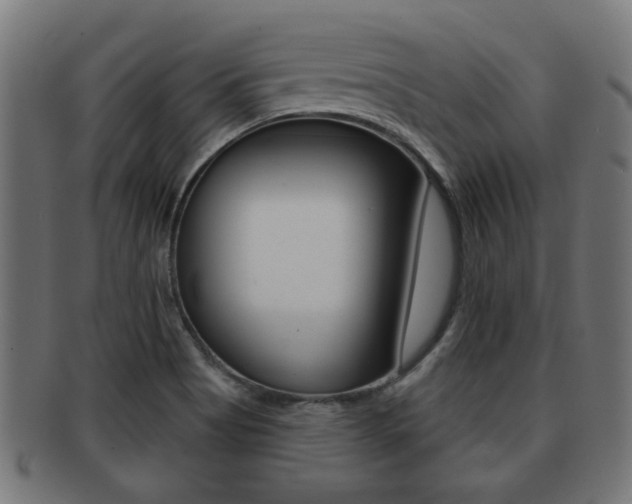 X0000091971513200709061122