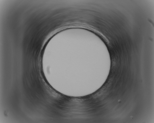 X0000091971514200709061122