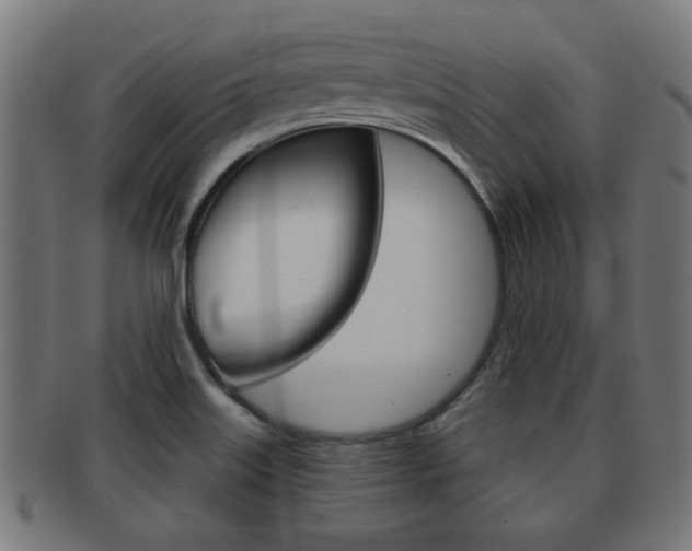 X0000091971515200709061122