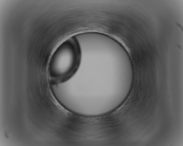 X0000091971516200709061122