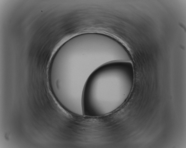 X0000091971517200709061122