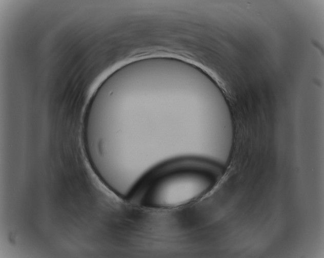 X0000091971518200709061122