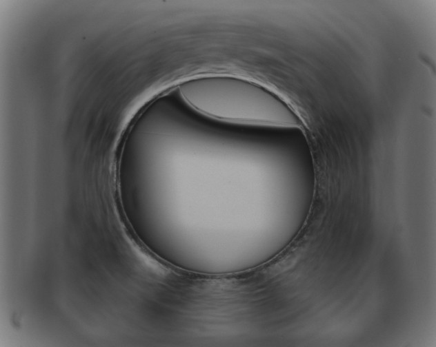 X0000091971519200709061122