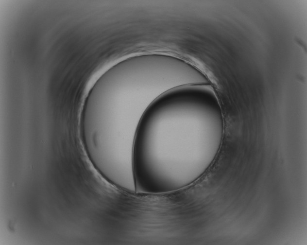X0000091971520200709061122