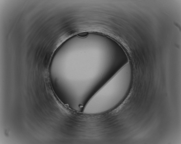 X0000091971521200709061122