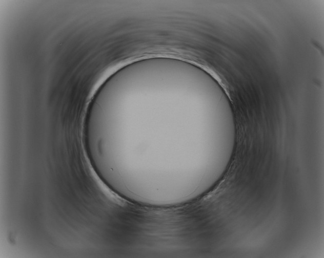 X0000091971523200709061122