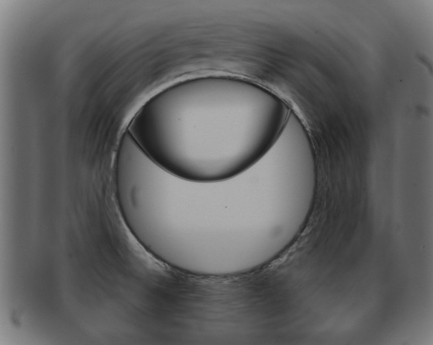 X0000091971524200709061122