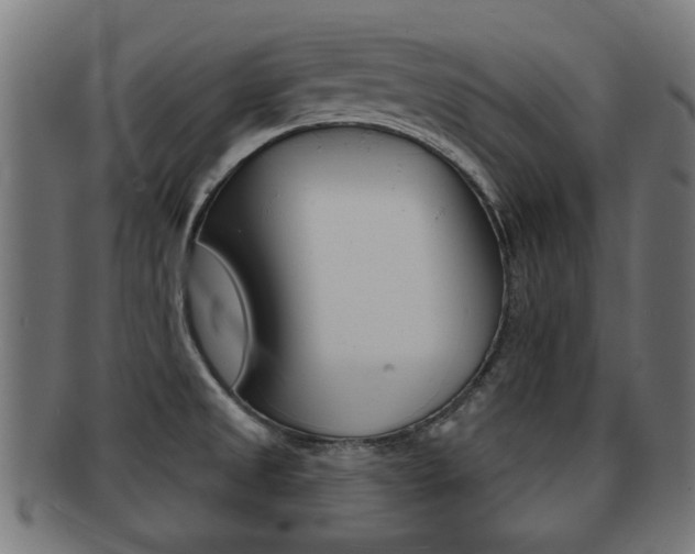 X0000091971525200709061122