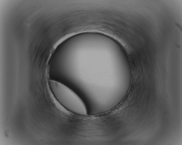 X0000091971526200709061122