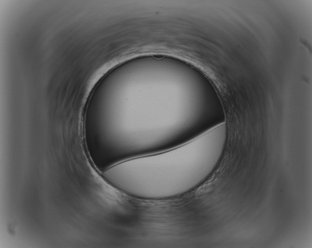 X0000091971527200709061122