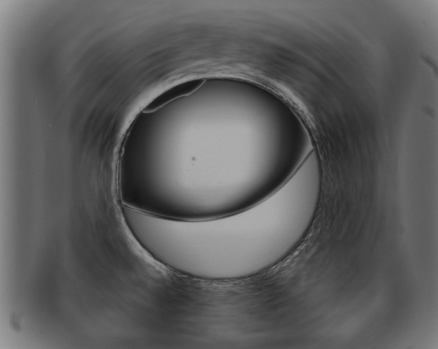 X0000091971528200709061122