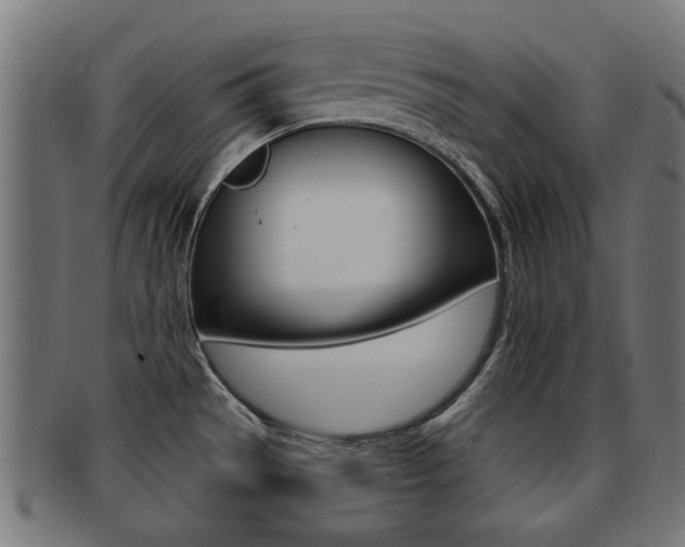X0000091971529200709061122