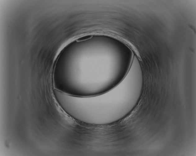 X0000091971530200709061122