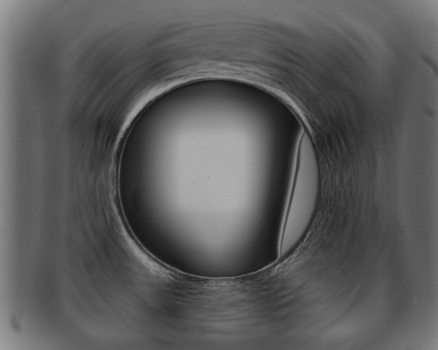 X0000091971531200709061122