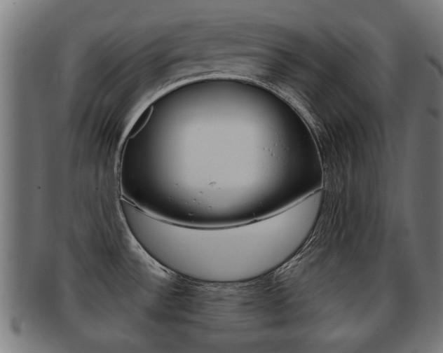 X0000091971532200709061122