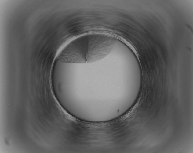 X0000091971533200709061122