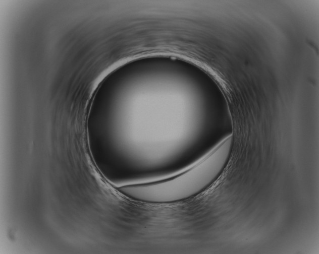 X0000091971534200709061122