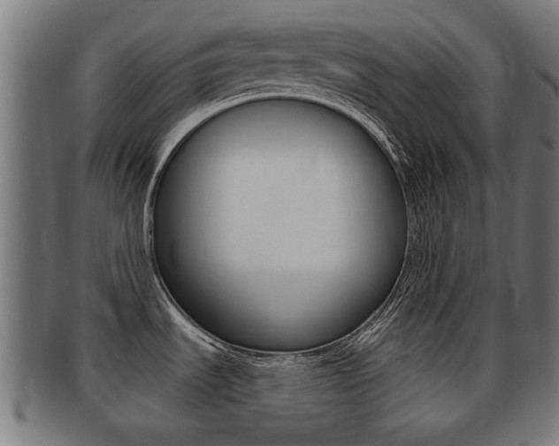 X0000091971535200709061122