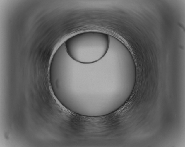 X0000091971536200709061122
