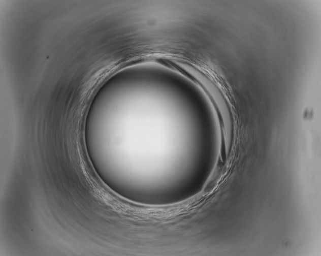 X0000091970001200709061342